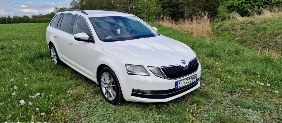 Skoda Octavia cena 90000 przebieg: 300000, rok produkcji 2019 z Mikołów małe 254